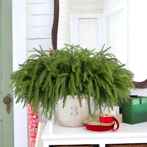 Rowfad 24 Pcs Artificial Norfolk Pine Branches, Faux Norfolk Pine Stems DIY Crafts Faux Christmas Norfolk Pine Branches fo...