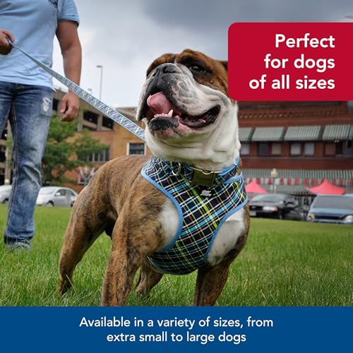 Coastal Pet Ribbon Dog Leash - Contemporary Stylish Look - Durable Fade-Resistant Nylon Material - Perfect for Dogs Brown ...