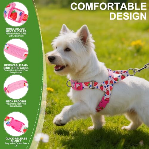 EXPAWLORER No Pull Small Dog Harness and Leash Set, Adjustable Soft Breathable Mesh Puppy Vest with Padded, Quick Fit Esca...