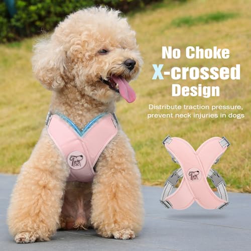 Pawaboo Small Dog Harness and Leash Set, Puppy Harness X-Frame No Pull No Choke, Dog Vest Harness Adjustable for Small Med...