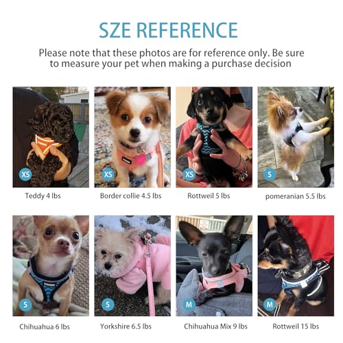 Dog Harness for Small Dogs, Small Dog Harness and Leash Set, Honeycomb Grid, Reflective Lightweight Harness & Anti-Twist P...