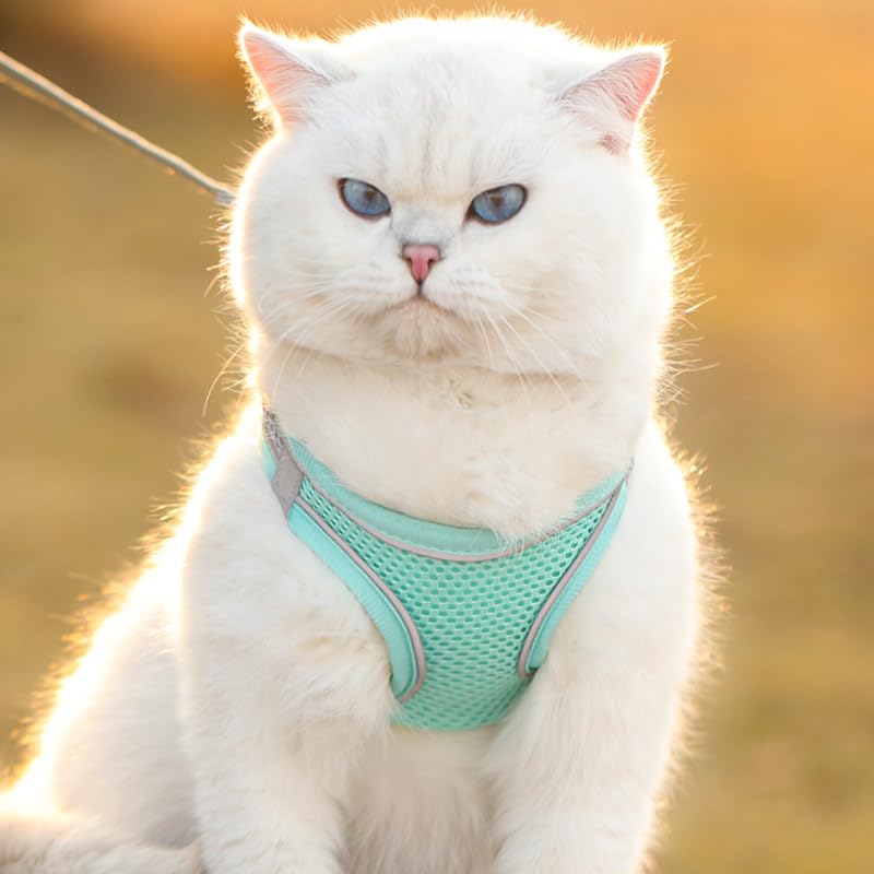 HIPVMES Cat Harness and Leash Set Soft Adjustable Escape Proof Cat Leash Breathable Comfortable Vest Easy to Wear Kitten/S...