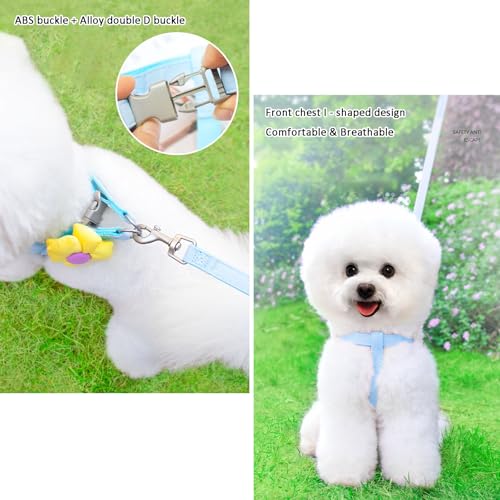 Dog Harness Collar and Leash Set, Sweet Floral Puppy Collar, Escape Proof Puppy Chest Harness, Adjustable Cute Harness Lea...