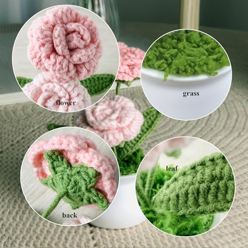 Joekaran Crochet Flowers Cute Little Potted Flower, Birthday Gifts for Women, Mother's Day, Teacher’s Day, Graduation, Ann...