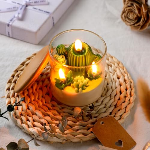 Tondiamo Succulent Cactus Candles Gift,3.15 Inch Scented Decorative Terrarium Plant Candles Votive for House Warming Weddi...