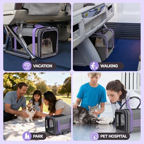 Cat Carrier on Wheels Airline Approved: Betopet Rolling Cat Carrier for Small Dog Medium Cat Under 18lbs - Cat Soft Carrie...