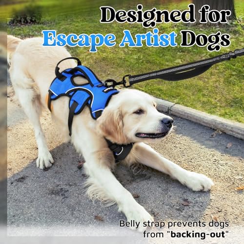 rabbitgoo Escape Proof Dog Harness, Soft Padded Full Body Pet Harness, Reflective Adjustable No Pull Vest with Lift Handle...