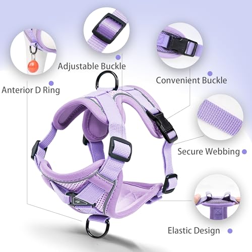 Jolifield No Pull Dog Harness with Leash Set for Small Sized Dog, Reflective Adjustable No Choke Front Clip Cat Vest Harne...