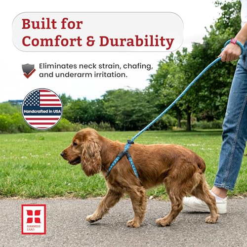 Harness Lead No Pull Dog Harness and Leash Set, Anti Pull Dog Harness for All Breeds and Sizes, One-Piece Cushioned Rope D...