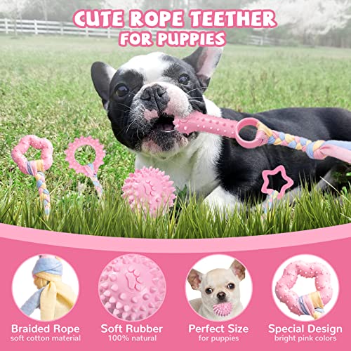 ABRRLO 6 Pack Puppy Teething Toys Cute Pink Puppy Chew Toys for Teething Small Breed Dog Chew Toy Interactive Pet Toy Set ...