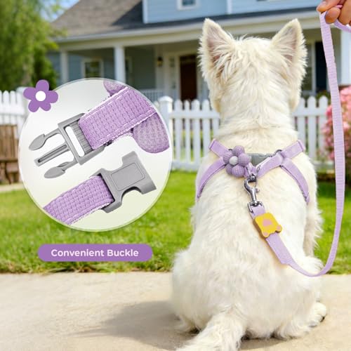 PETCARE Cute Flower Dog Harness and Bowtie Leash Set Easy Walk Puppy Dog Halter Harness for Small Dogs Girl Step in Dogs H...