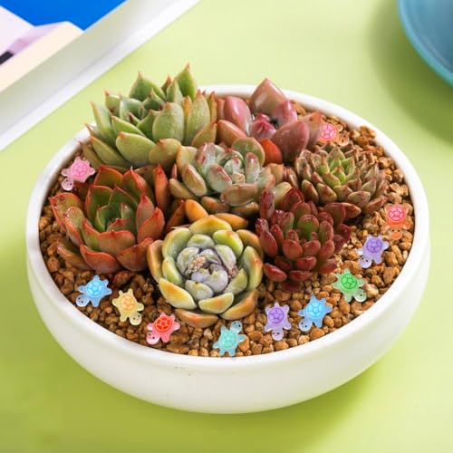 200 Pcs Mini Resin Turtles Glow in the Dark, Tiny Sea Turtle Animals to Hide Small Luminous Figures Miniature Plastic Ocea...