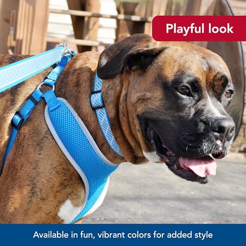 Coastal Pet Comfort Soft Reflective Wrap Adjustable Dog Harness - No-Pull Dog Harness for Small & Large Dogs - Blue Lagoon...