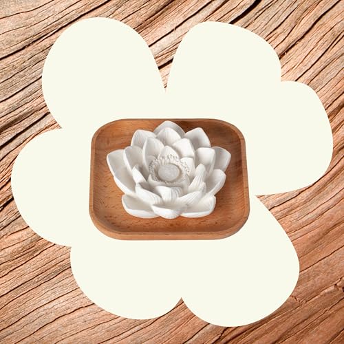 Plant Therapy Passive Lotus Flower Aromatherapy Diffuser - A Chic and Natural Home, Office, and Travel Essential Oil Diffuser
