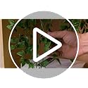 Whonline Fake Hanging Plants, Artificial Small Potted Plants for Indoor Outdoor Aesthetic Office Living Room Shelf Decor (...