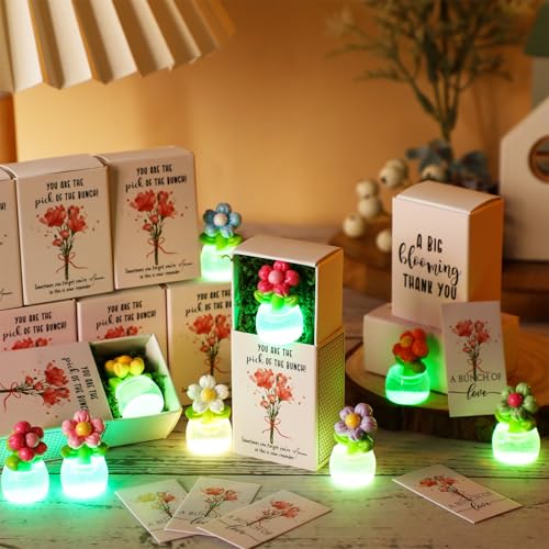 Wonderjune 36 Sets Employee Appreciation Gift Luminous Flowerpot Bulk Emotional Support Gift Box with Inspirational Card M...