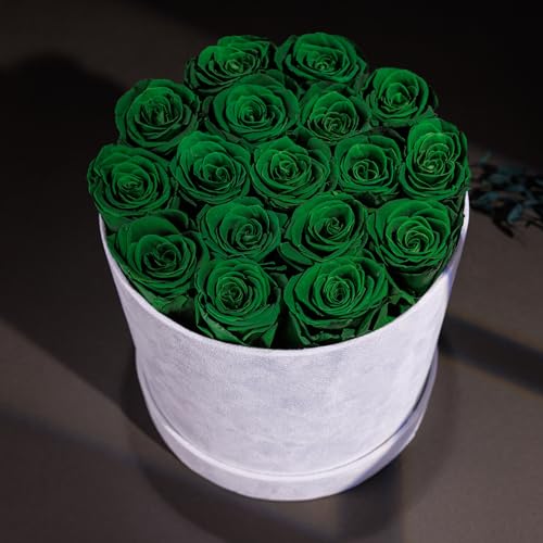 Prifroti 17 Flowers in a Luxury Suede Box, Birthday Gifts for Women, Preserved Flowers, Mothers Day Roses Gift for Mom, Da...