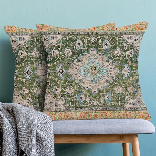 AEIOAE Boho Pillow Covers 20x20 Inch Set of 2,Carpet Pattern Throw Pillows Case,Sage Green Yellow Ethnic Design Outdoor De...
