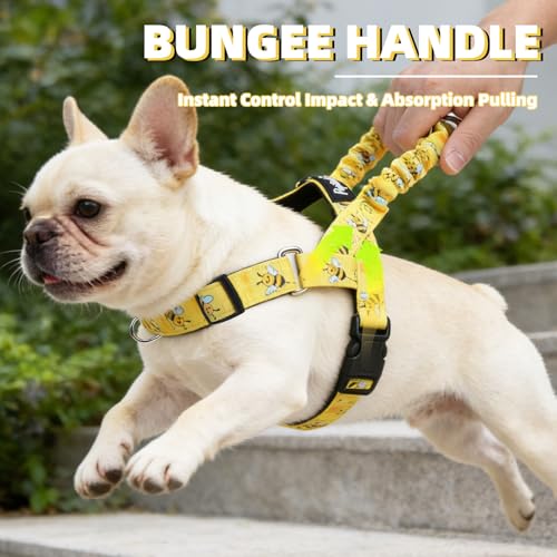 PUPTECK No Pull Dog Harness Small Sized Dog, Adjustable Reflective Pet Vest Harness with Bungee Handle, Escape Proof No Ch...
