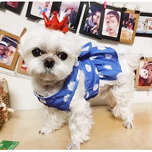 Anelekor Dog Harness Dress for Small Dog Daisy Floral Dog Harness and Leash Set Bow Knot Girl Puppy Princess Skirt with D-...