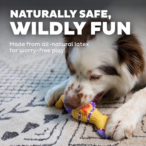 Outward Hound by Charming Pet Squawkers Henrietta Latex Squeaky Rubber Chicken Dog Toy, Funny Interactive Holiday Toy for ...