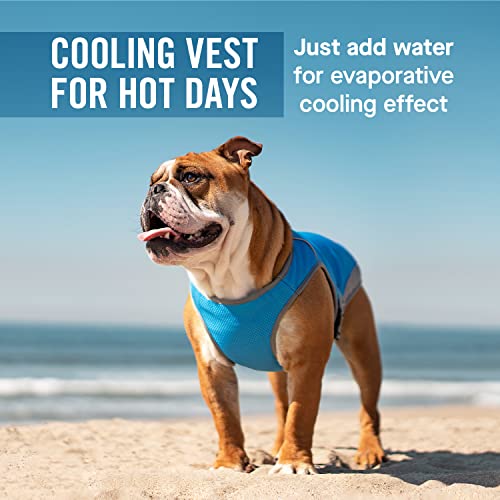Canada Pooch Dog Cooling Vest - Evaporative Cooling Vest for Dogs with Breathable Mesh Material & Reflective Lining, Adjus...