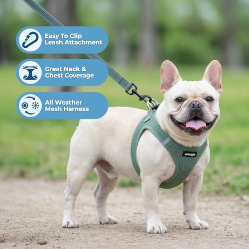 Best Pet Supplies Voyager Step-in Air All Weather Mesh Harness and Reflective Dog 5ft Leash Combo with Neoprene Handle, fo...