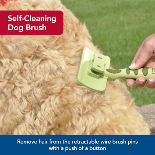 Coastal Pet Safari Dog Self-Cleaning Slicker Brush - Dog Deshedding Brush - Prevents Mats and Tangled Hair - For Dogs with...