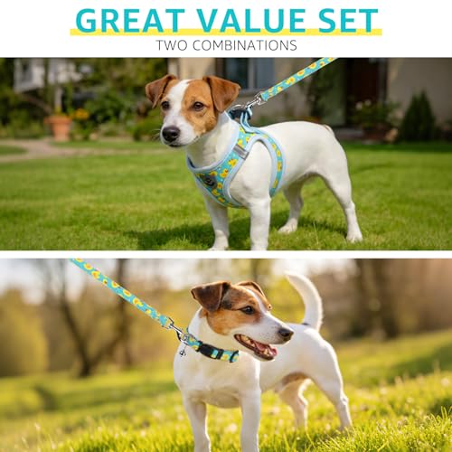 SCENEREAL Small Dog Harness and Leash Collar Set, Step in Soft Light Puppy Vest, Breathable Pet Harness for Small Sized Do...