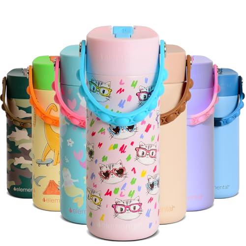 Elemental Insulated Kids Water Bottle, Stainless Steel Water Bottle with Straw Lid & Pop-It Handle, Leak-Proof Water Bottl...