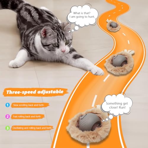 WOWF Cat Toys 24 PCS, Interactive Cats Toys for Indoor Cat, Speedy Tail 2.0 Cat Toy, Silvervine Sticks Feather Mouse Toy f...
