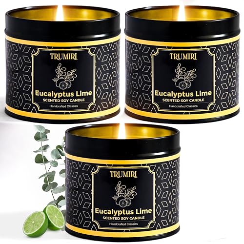 Eucalyptus Candle with Lime Strong Scented Soy Candel Natural Non Toxic Velas Aromáticas for Home Gift for Fall Christmas ...