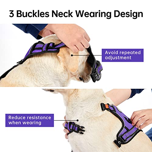 IVY&LANE No Pull Dog Harness for Medium Dogs, Dog Vest Harness with Leash, Safety Belt and Storage Strap, Fully Adjustable...