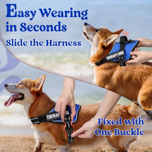 rabbitgoo Dog Harness Medium Sized, No Pull No Choke Pet Vest, Easy Wearing with One Buckle, Reflective, Adjustable Pet Ha...