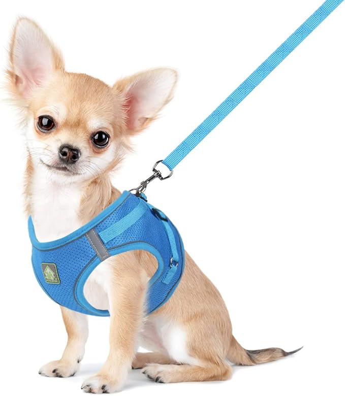 FEimaX Dog Harness and Leash Set, No Pull Breathable Soft Mesh Puppy Vest Harness Reflective Adjustable Pet Harnesses for ...