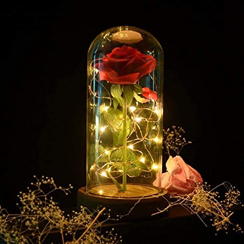 SW Preserved Rose Enchanted Rose Red Silk Rose in Glass Dome with LED Lights Pine Base, Romantic Home Decor Gifts for Mom ...
