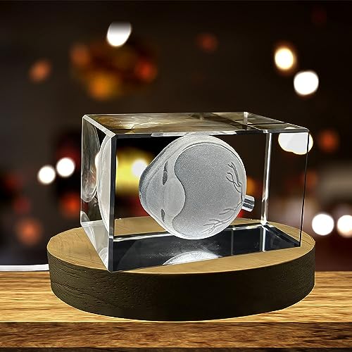 Eye Art For An Ophthalmologists | 3D Engraved Crystal Keepsake | Gift For Doctor| Collectible | Souvenir | personalized 3D...