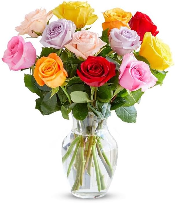 From You Flowers - One Dozen Rainbow Roses with Glass Vase | Fresh Flower Bouquets for Birthday, Anniversary, Get Well or ...