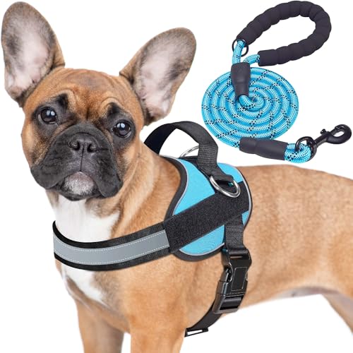 Haapaw Essential Dog Harness, No Pull Pet Vest with 3 Leash Clips, No Choke, Reflective, Adjustable and Padded, for Easy W...