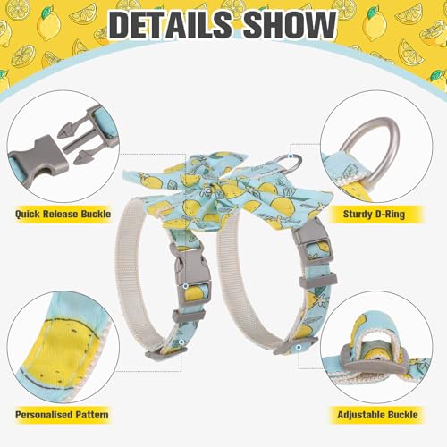 PAWCHIE Cat Harness and Leash Set with Bow Knot,Cats Escape Proof - Adjustable Daisy Floral Kitten Harness Soft Outdoor Wa...