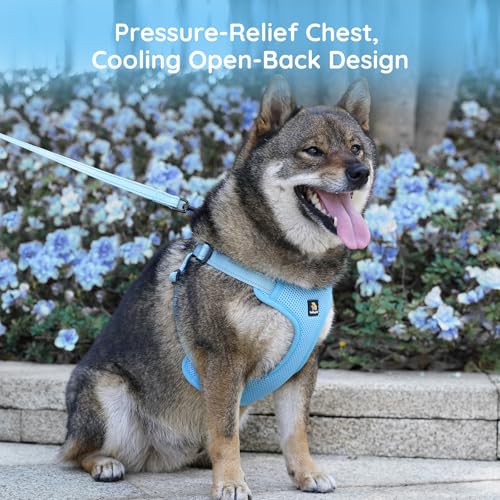 BELLA & PAL Adjustable Step-in Dog Harness, Puppy No-Pull Vest with Leash Set for XS/Small & Medium Dog, Breathable All-We...