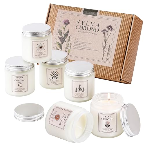 Scented Candle Gift Set for Women, Pet-Friendly 6-Pack Soy Wax Candles, 10% Essential Oils, Quick Diffusion, Long-Lasting ...