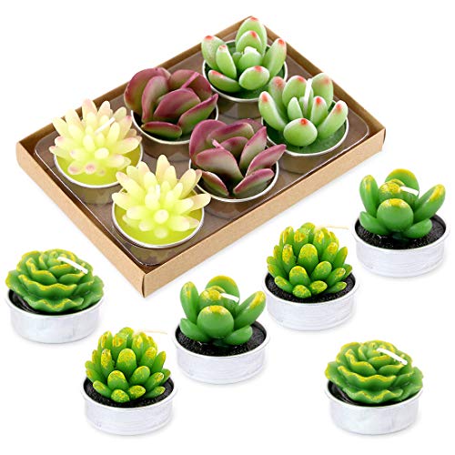 Swpeet 12Pcs Decorative Succulent Cactus Tealight Candles Kit, Cute Smokeless Succulent Plants Perfect for Candles Festiva...
