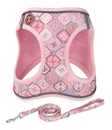 Mihqy Step in Dog Harness and Leash Set, Reflective Adjustable No Pull Dog Harness for Extra-Small/Small Dogs Puppy and Ca...