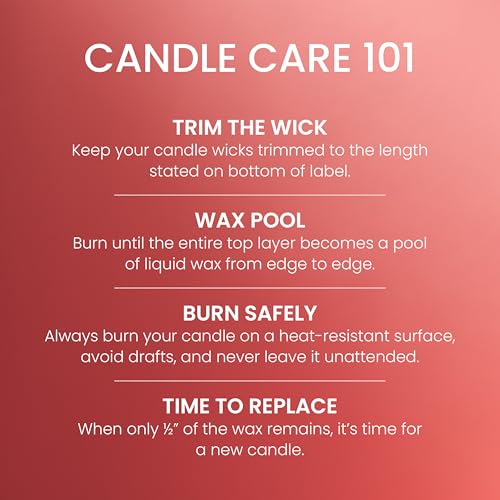 Yankee Candle White Strawberry Bellini Scented Candle, 14.5oz 3-Wick Candle Jar with up to 40 Hours Burn Time, Giftable