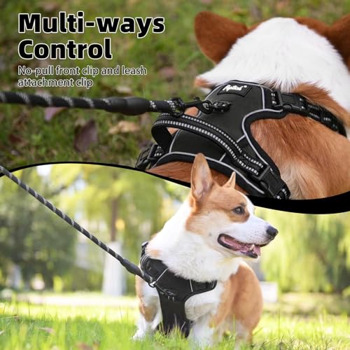 PUPTECK No Pull Dog Harness Small Sized, Adjustable Reflective Dog Harness with Handle Easy Control, Comfortable Soft Padd...
