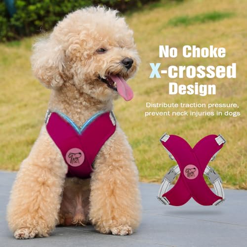 Pawaboo Small Dog Harness and Leash Set, Puppy Harness X-Frame No Pull No Choke, Dog Vest Harness Adjustable for Small Med...