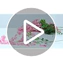 Alotiki Wisteria Hanging Flowers,50 Pack Fake Hanging Flowers,Wisteria Artificiales Garland for Home Wedding Arch Floral P...