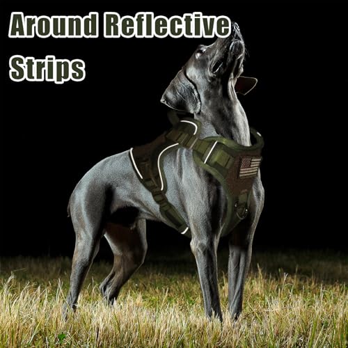 BUMBIN Tactical Dog Harness with Laesh Set，No-Pull Service Fit Smart Dog Vest with Hook & Loop Panels,Adjustable Dog Vest ...