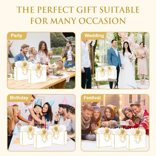 Ethhqu Fancy Large Gift Bags with Handles, 2 Pack 12.6x10x4 Inches - Includes Tissue Paper & Cards for Birthday, Baby Show...
